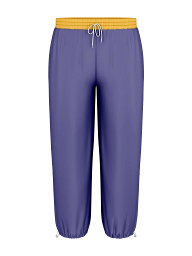 Colorblock Lined Wind Pants